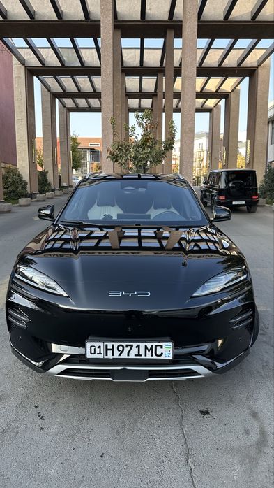 BYD champion 2023/2024 damashniy moshina