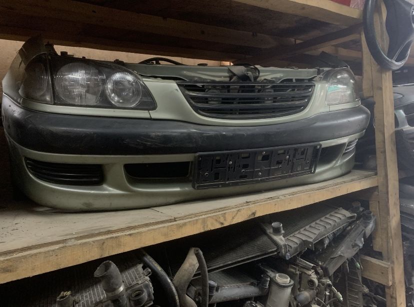 Ноускат(мини-морда) Авенсис