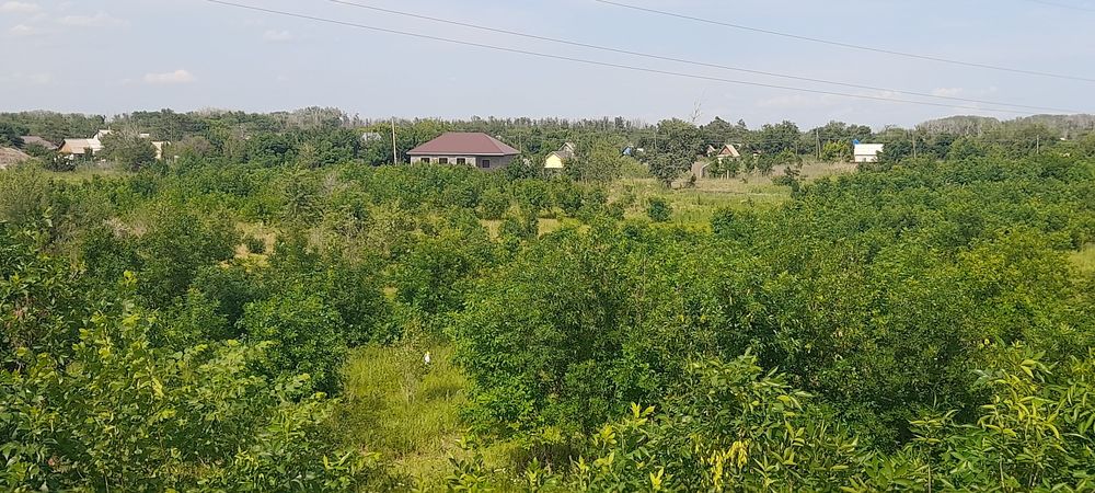 Продается дом в чернов вариянте