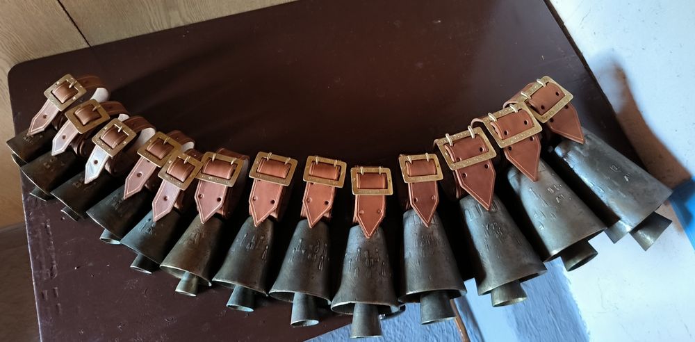 Колани за чанове чан и сурва