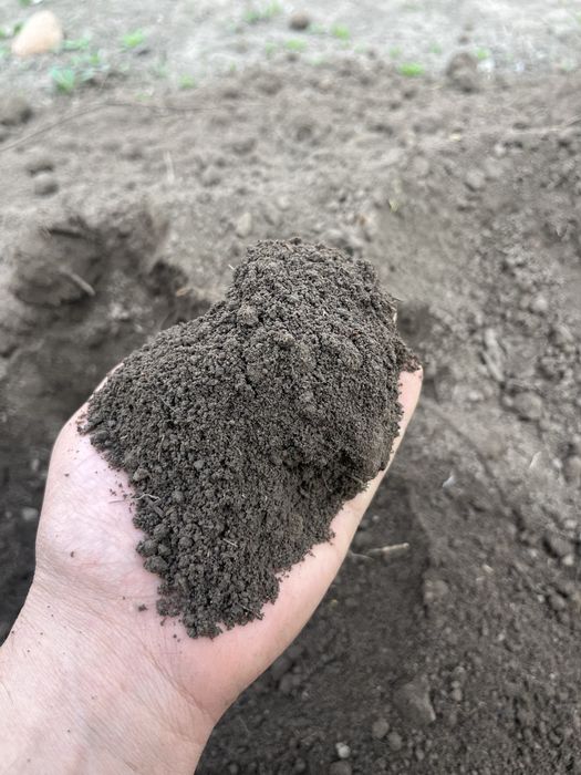 Чернозем хорошего качества.