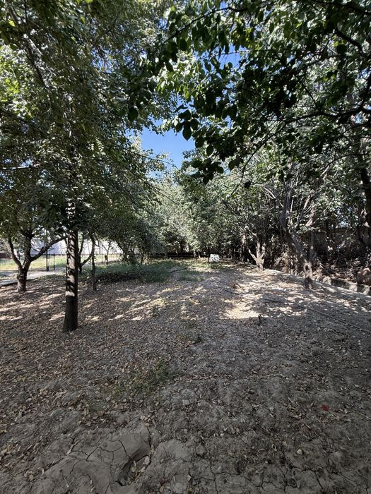 Сдается дом в аренду в «Янги Тошкент»