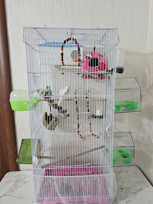 Клетка для попугаев