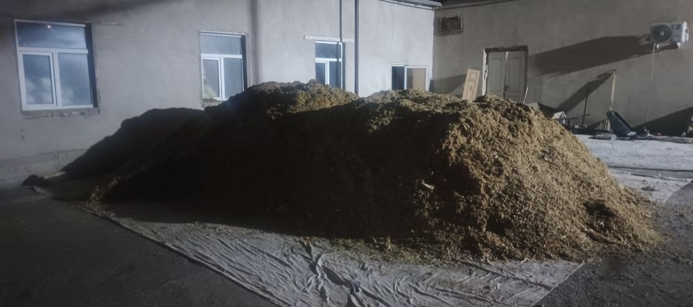 Макка силос сенаж сенаш синаш сенаш маккажўхори ўт беда самон прес