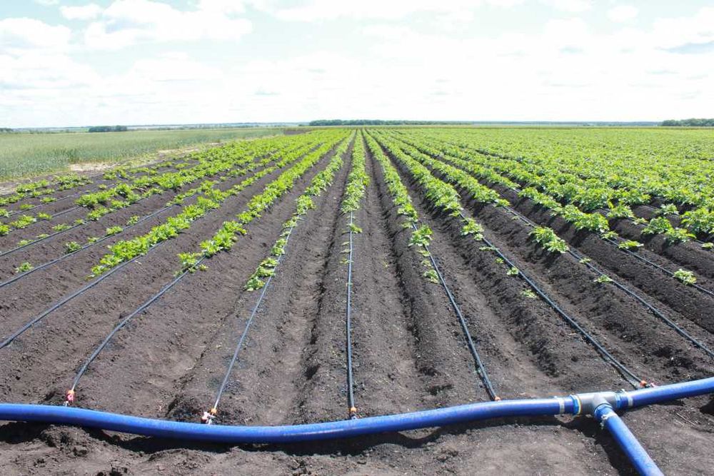 Автополив ,Капельный полив Hunter