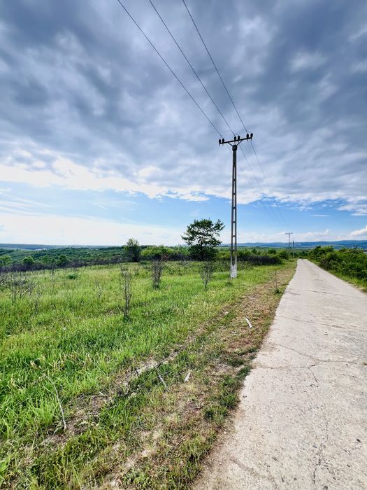 Teren de vanzare in Lipova 52,1 ha curent 20kv, fs 550 m drum betonat