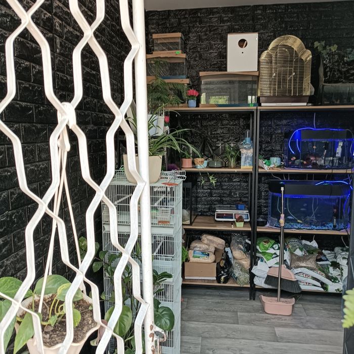 Продается готовый бизнес, действующий магазинчик ,Zoo Aqwa Flowers