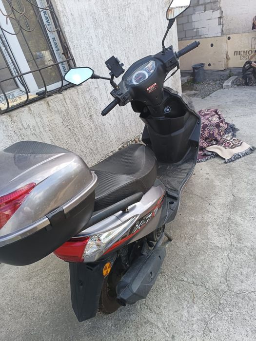 M8 Серый/Чёрный  2024