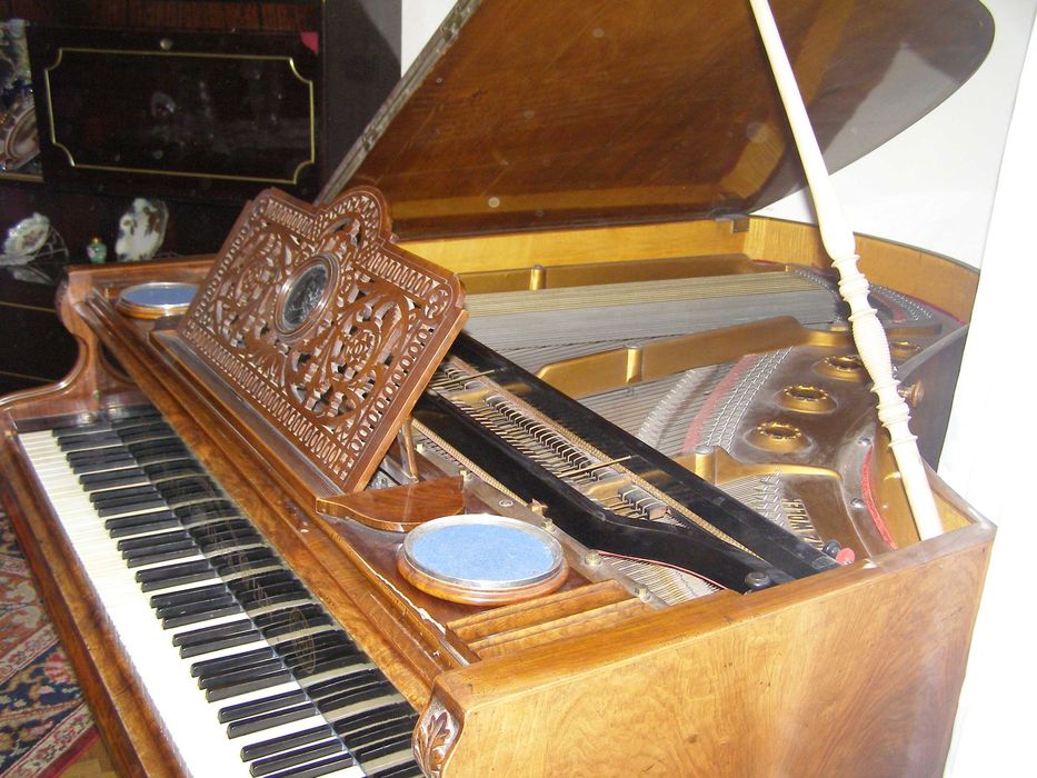 Pian Franz Wolek -Wien