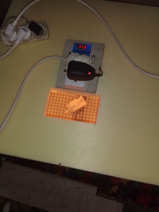 Инкубатор балапан ашатын