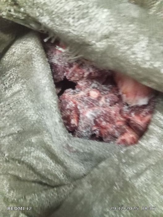 Продам кости ребро Казы  Конина