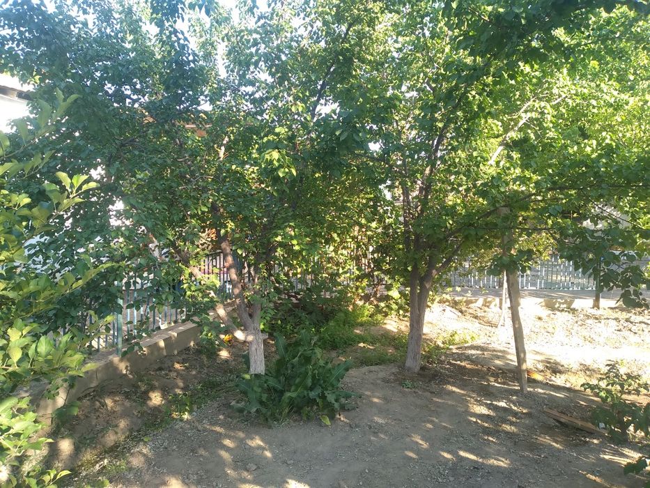 Уи сатылады 5 болме