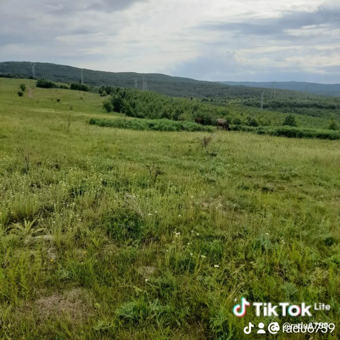 teren pasune de vanzare