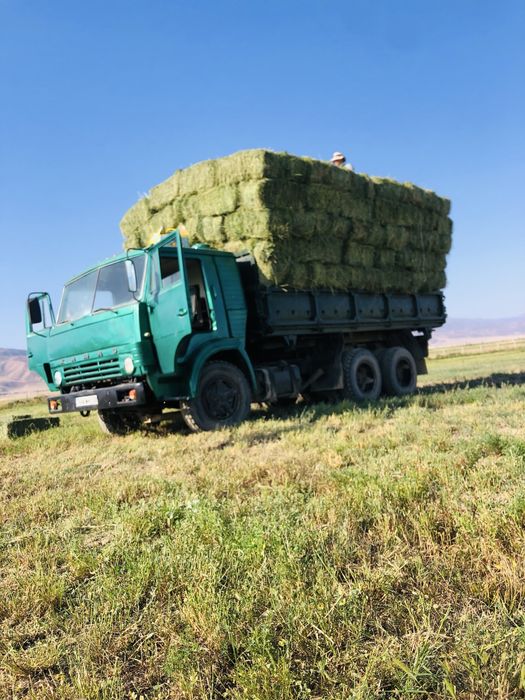 Жоңыршқа сатам, люцерна продаю