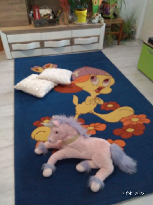 Vând 2 covoare, preț pe bucata