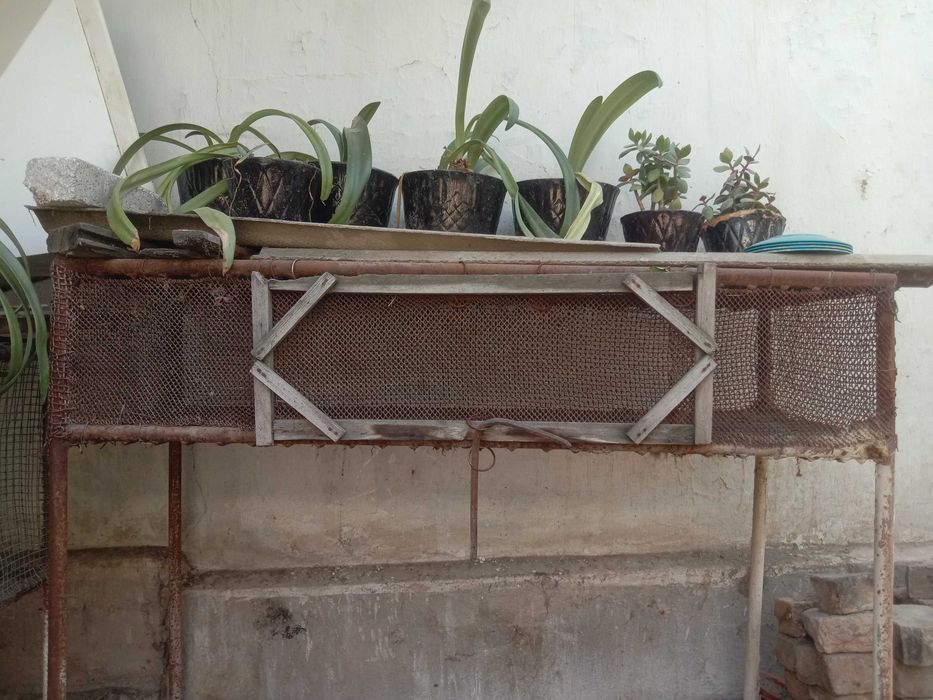 Продаются крольчатники