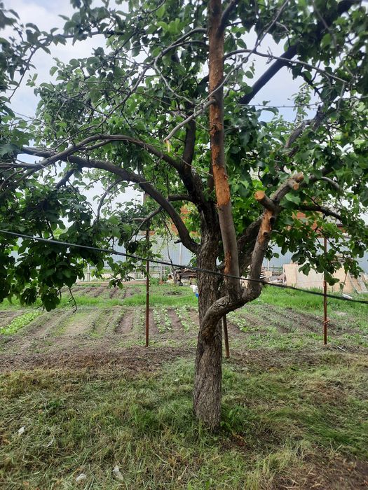 Продам дачу, район кардиологии