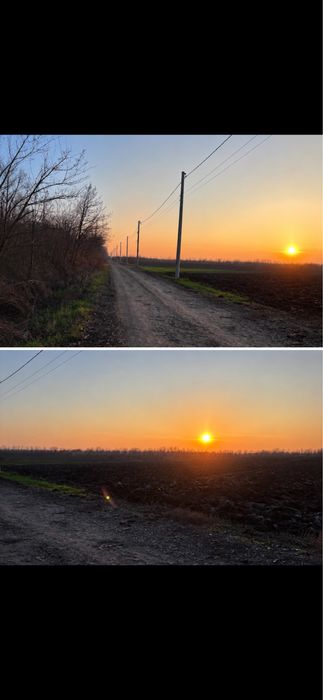 Loturi de vanzare langa Padurea Mihai Voda bolintin deal