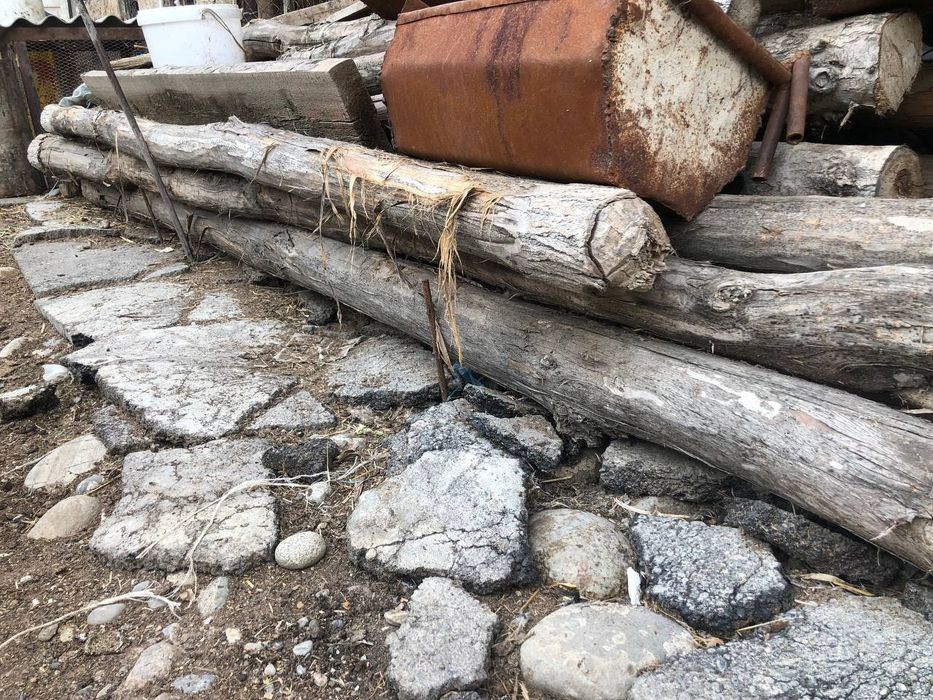 Terrak tosin  Õtkan yilgi