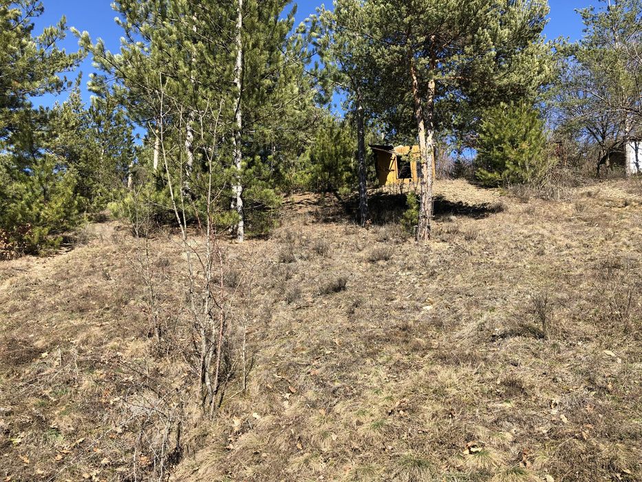 Продава се Парцел в с. Луково, Област София-област - 840 кв.м за 28 €/кв.м - Снимка #9