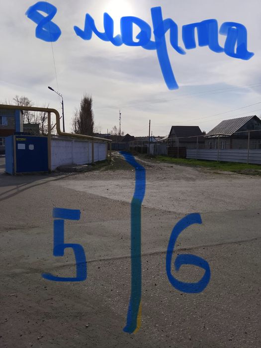 Отдам дрова на баню