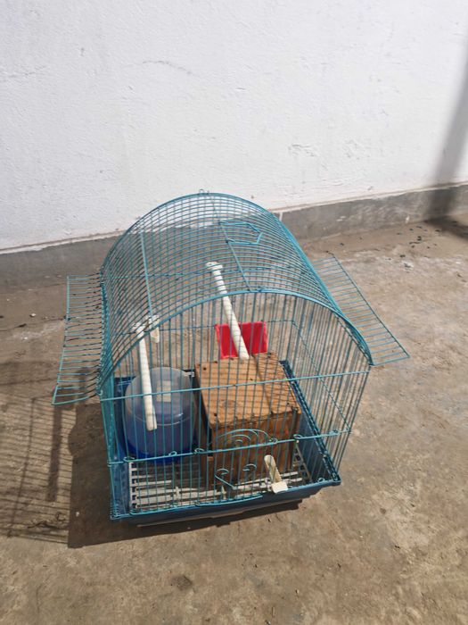 Cuști păsări de vanzare