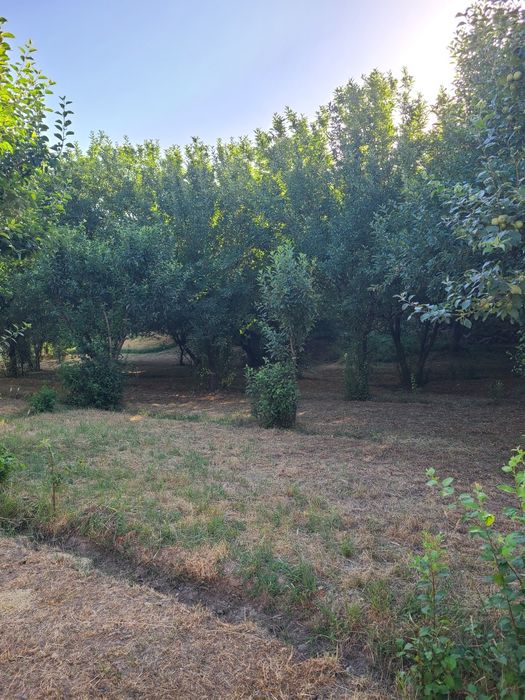 Дача участок ситилади