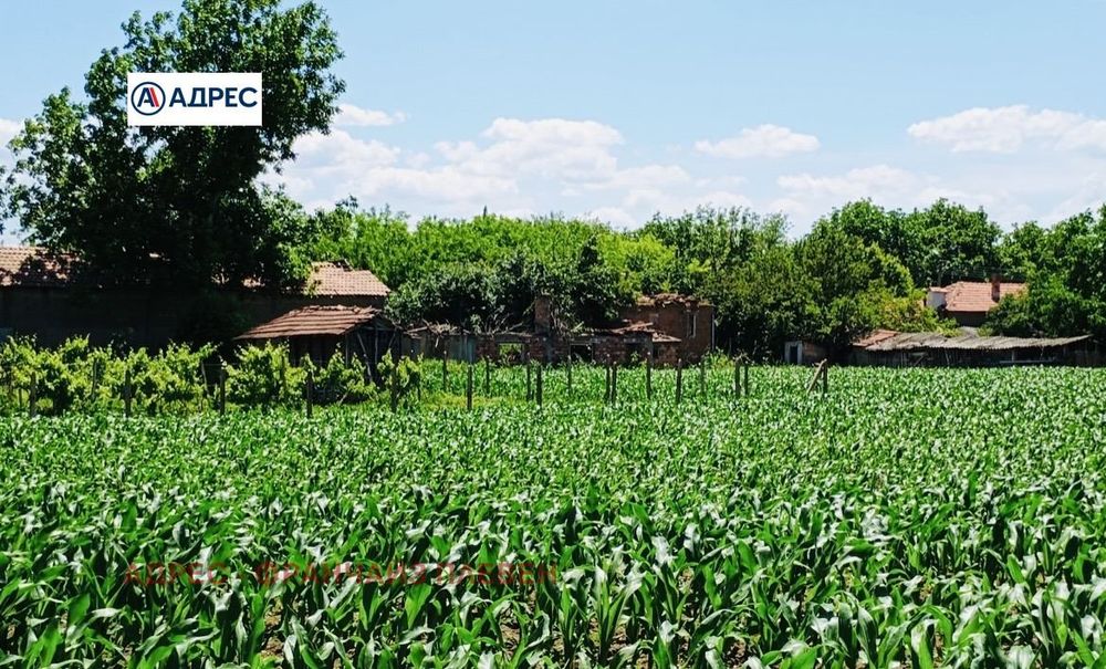 Парцел в Плевен, област-с.Обнова площ 2780 цена 11248