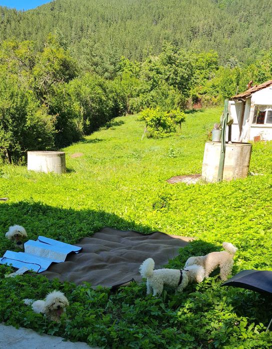 Продава се Къща в с. Луково, Област София-област - 80 кв.м за 765 €/кв.м - Снимка #1