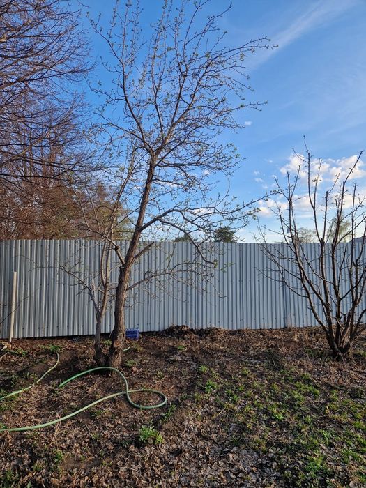 Дача " Здоровье"-1