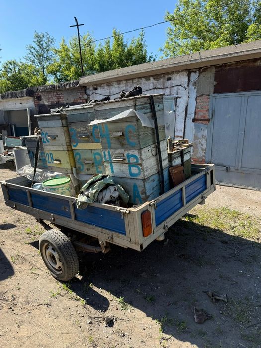 Пасека, прицеп, медогонка