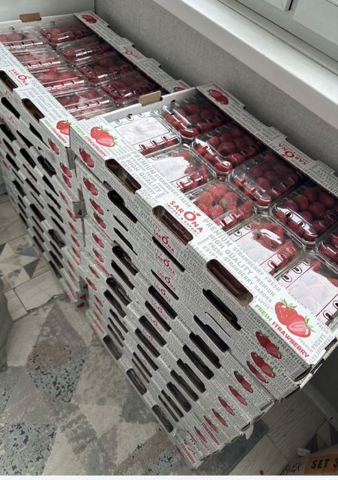 Клубника египет