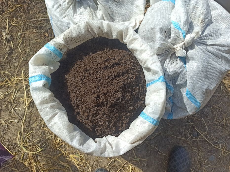 Bio gums anchagina bor telfon raqam