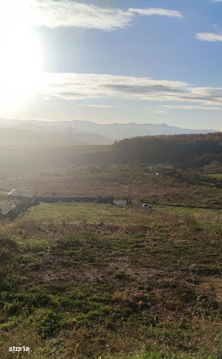 Teren intravilan sat Ciurila 1000 m