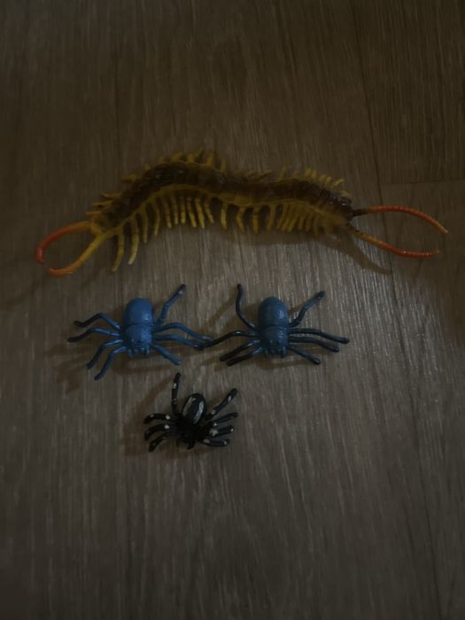 пауки, сороконожка