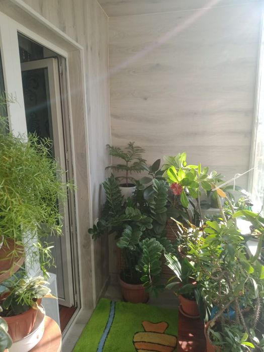 Продам 3-х комнатную квартиру