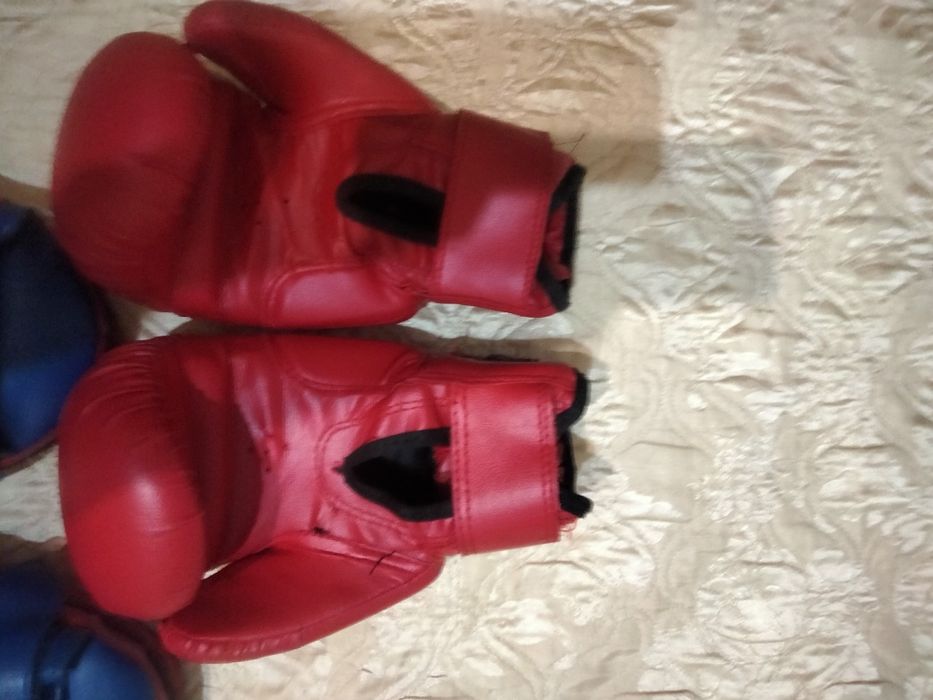 Перчатки, лапы, шлем