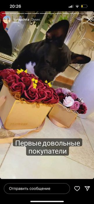 Букеты для подарков и интерьера