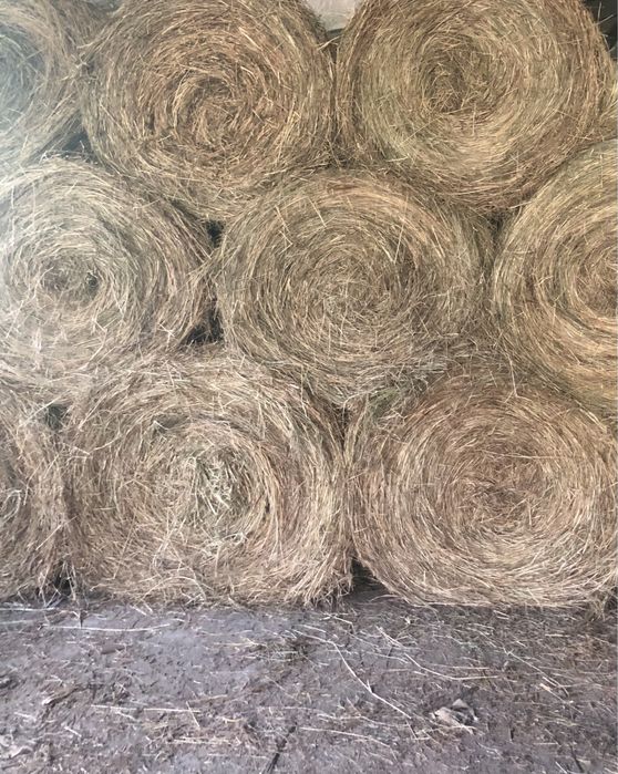 Vand baloti rotunzi de fân