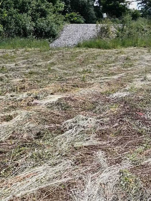 Teren de vânzare intravilan Baia Sprie