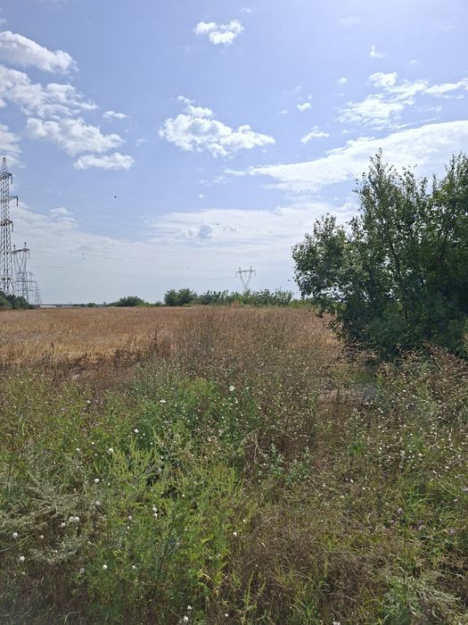 Teren de vanzare Manolache