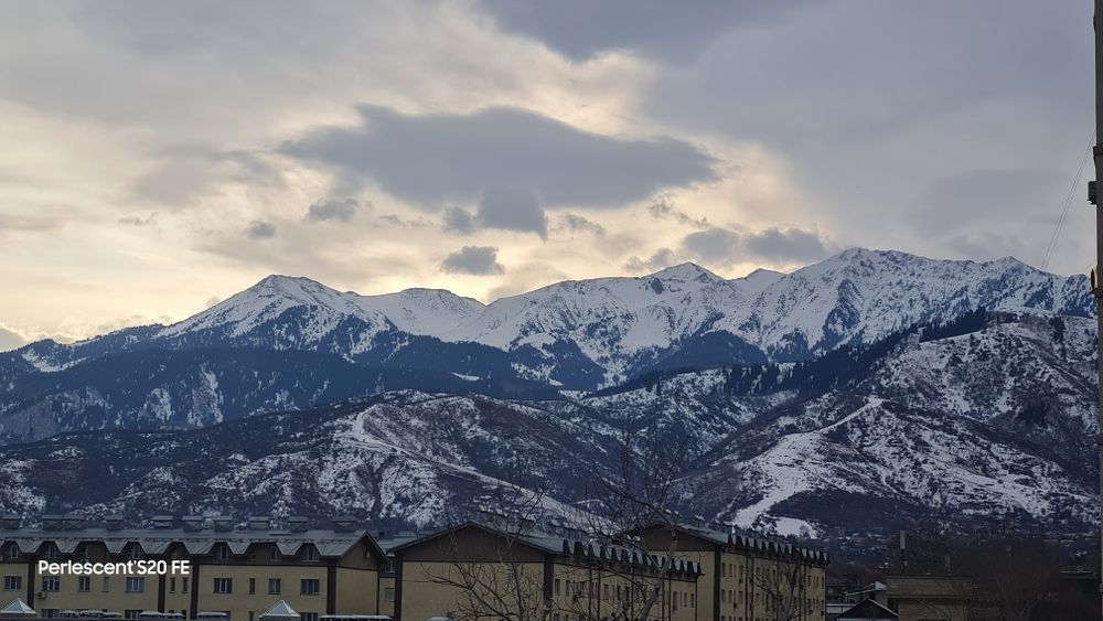 Galaxy S20 FE & Note 5