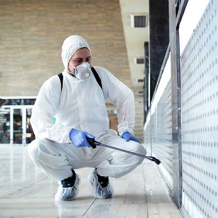 дезинфекция клопов тараканов dezinfeksiya обработка клопов уничтожение