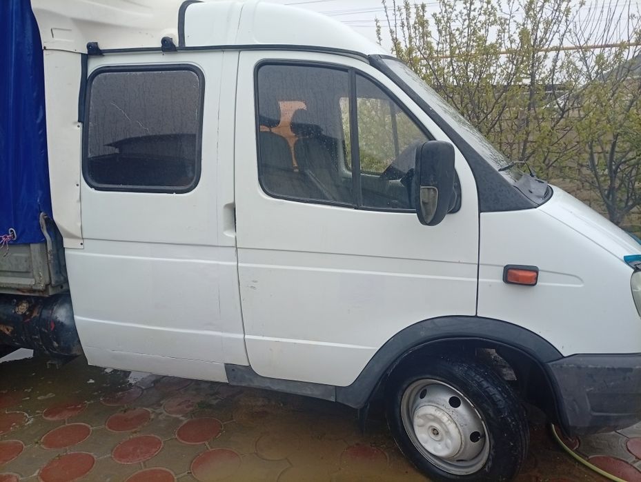 газел фермер330232