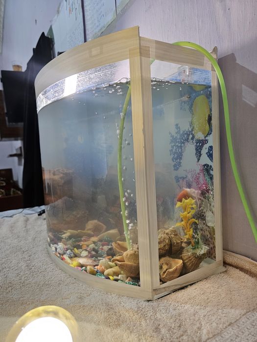 Аквариум для искусства