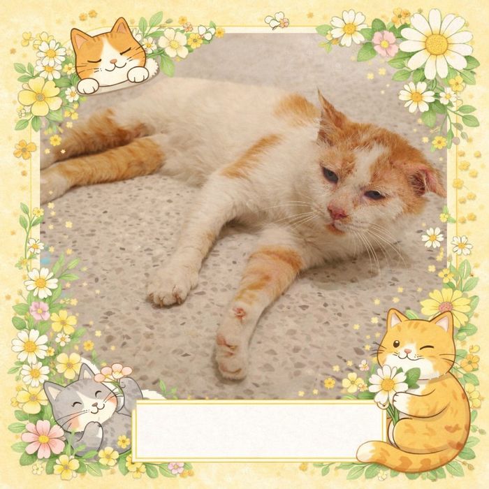 Бублик в ожидании семьи