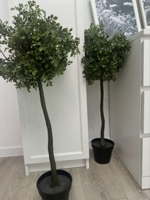 Искусственные декоративные деревья IKEA