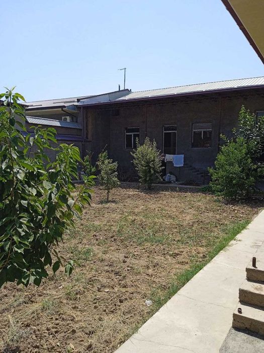 Hovli 6 sotix Oltintepa