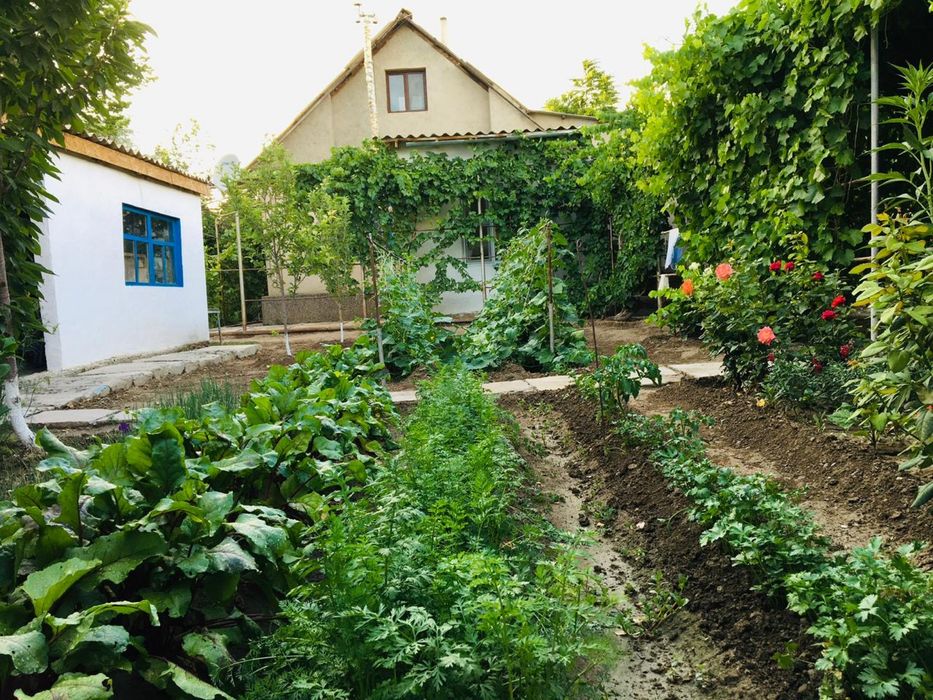 Karatau, үй сатылады!