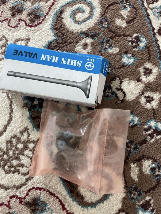 Клапын сальнигімен